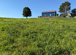 IMG_9283.jpeg