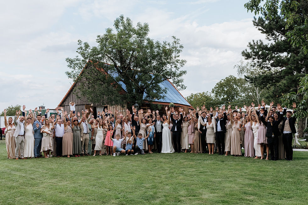 Ein Gruppenfoto der gesamten Hochzeitsgesellschaft