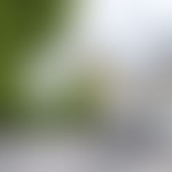 Eventfotografie: 18. Europäischer Knappen- und Hüttentag in Bad Ischl: Ein Fest der Tradition und Musik