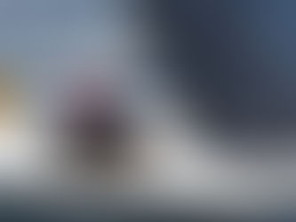 2017 Y-Knot Cup Regatta