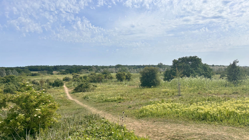 Whetmead Nature reserve under sweeping grey/white clouds