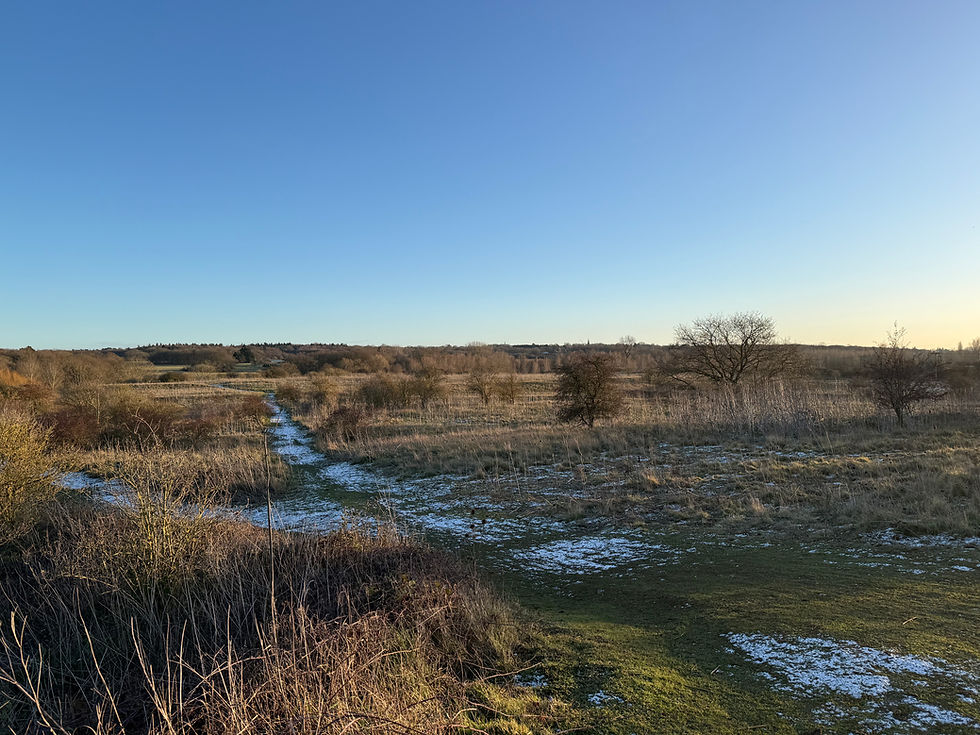 Whetmead photopost 5/1/26