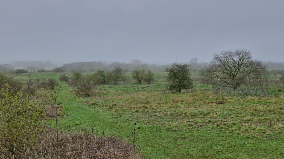A slate grey sky over the Whetmead nature reserve