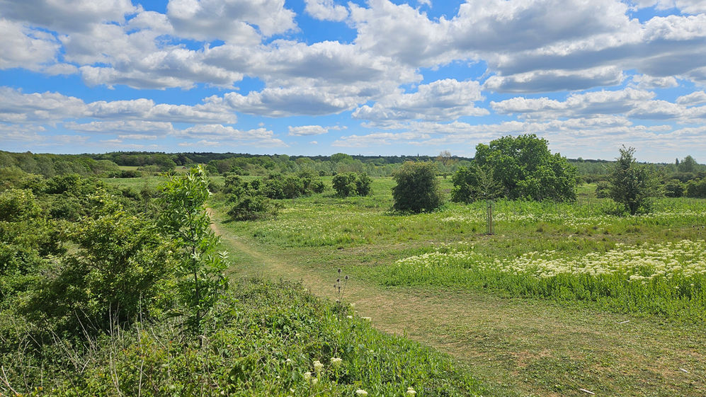 Grassy path on Whetmead nature reserve. The sun is out as the clouds cross the blue sky above.