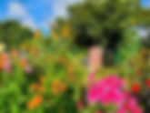 Witham Open Garden Scheme