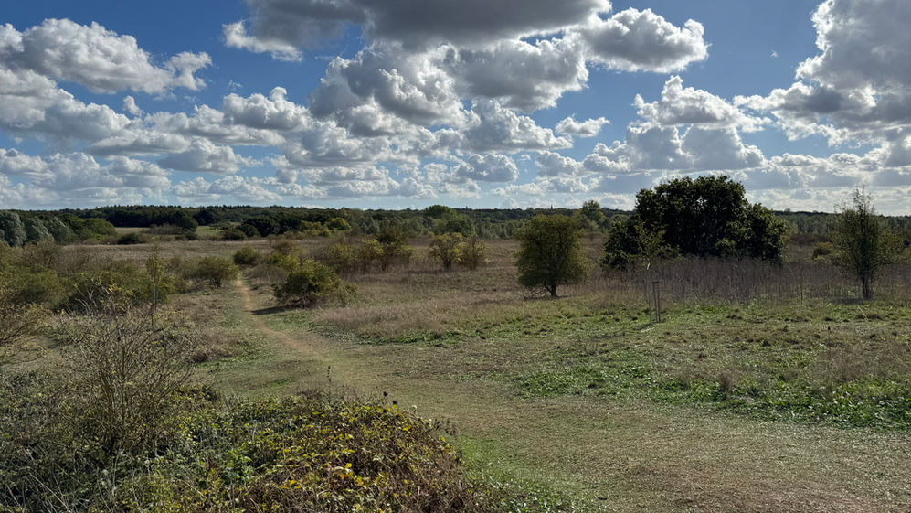 Whetmead under blue sky studded with grey and white clouds