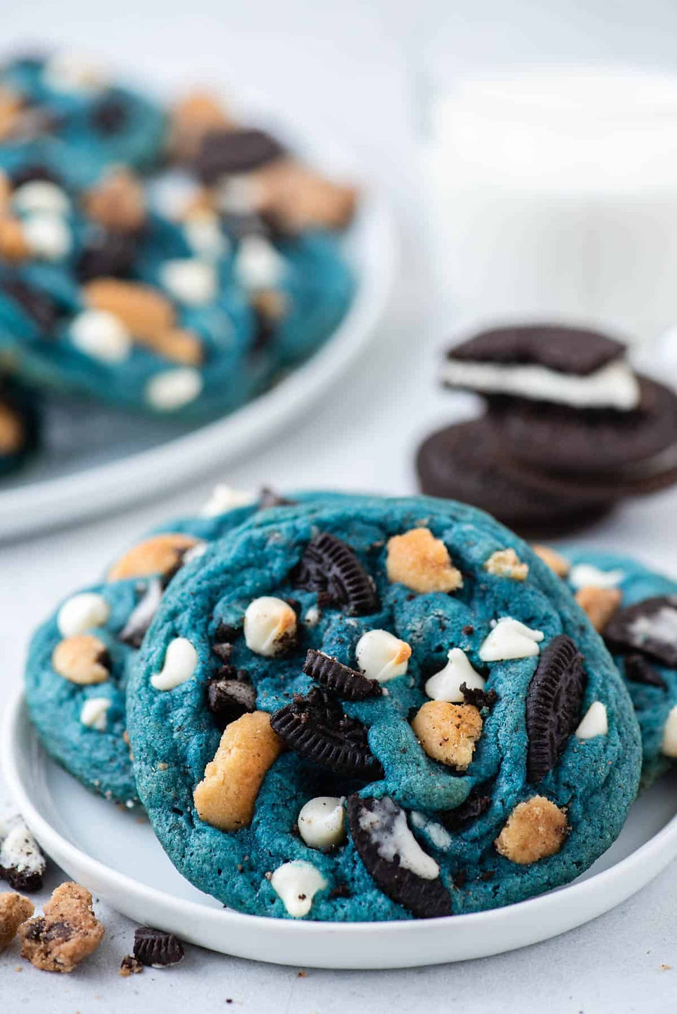 Cookie-Monster-Cookies-23.jpg