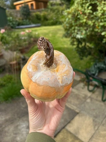 Thumbnail: CERAMIC PUMPKINS/ white stoneware/2