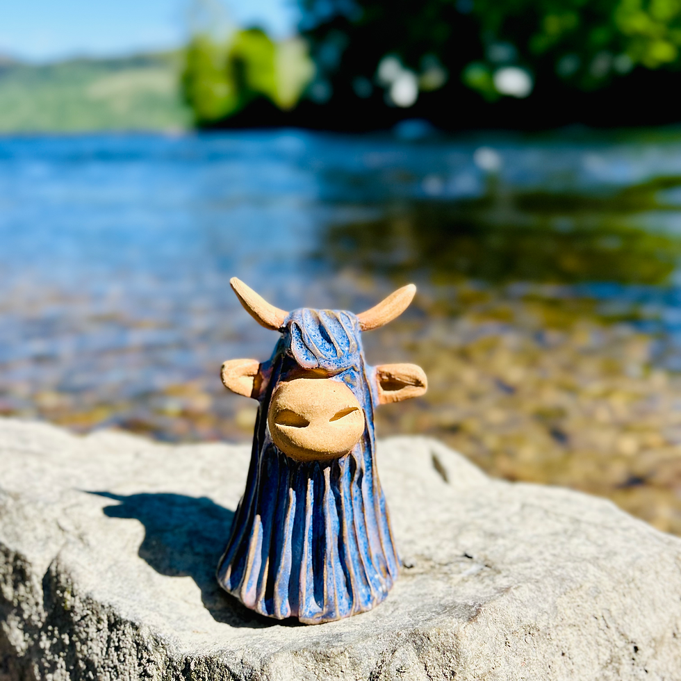 Thumbnail: River blue Highland Coo
