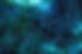 Universo red neuronal.jpg