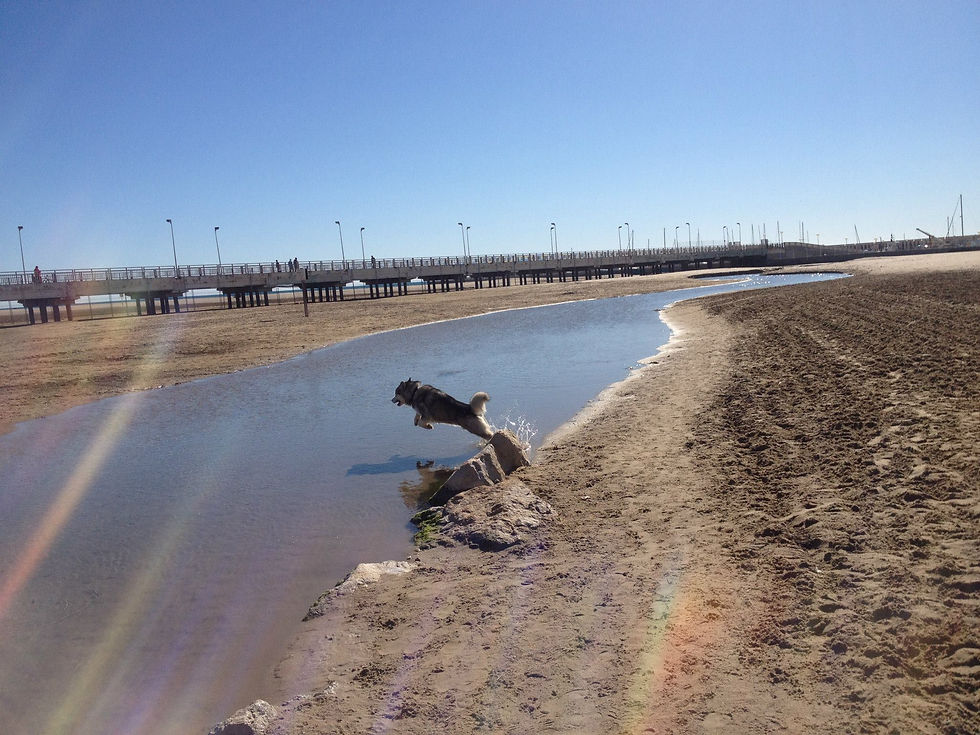 Miniatura: VITAKE PERFORMANCE