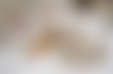 Découverte Matcha avec céremonie de thé et dégustation - dimanche 29 mars 14h - 16h