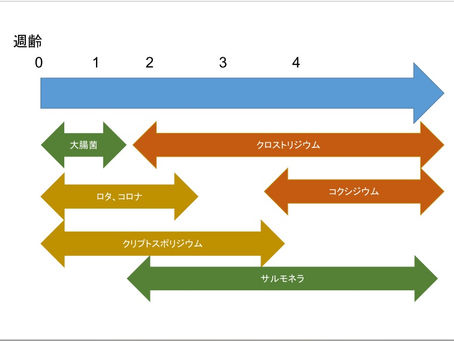 子牛の日齢と下痢症の関係について