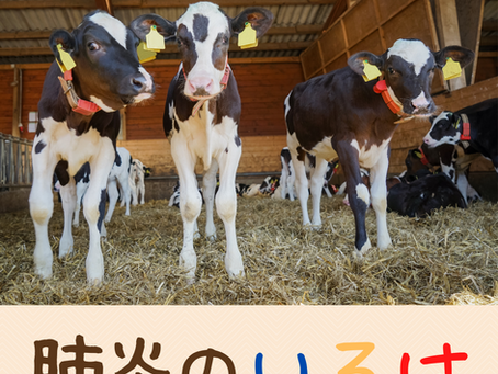 肺炎の概要について