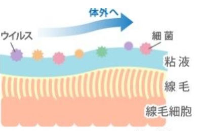 肺炎の予防:①牛舎の環境を改善すること(アンモニアについて)