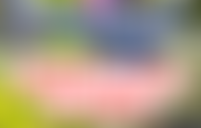 細菌性腸炎(下痢)〜クロストリジウム菌〜について