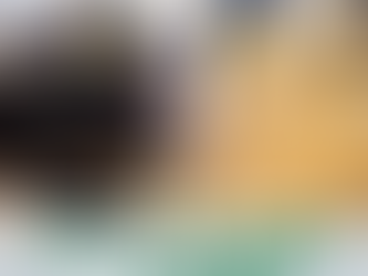 原虫性腸炎(下痢)〜コクシジウム症〜について