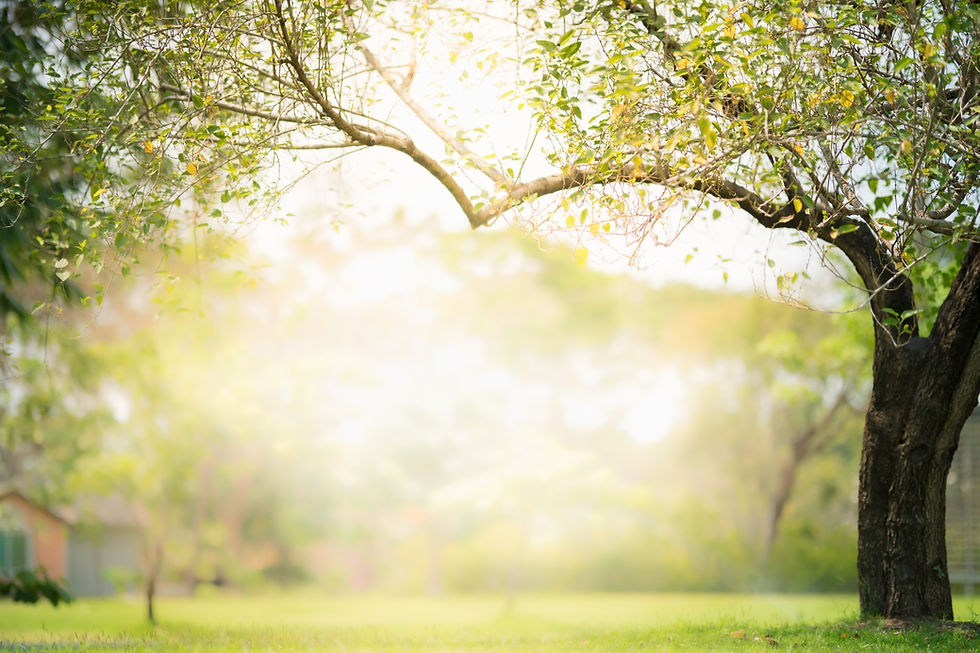 I resolve to not make a resolution