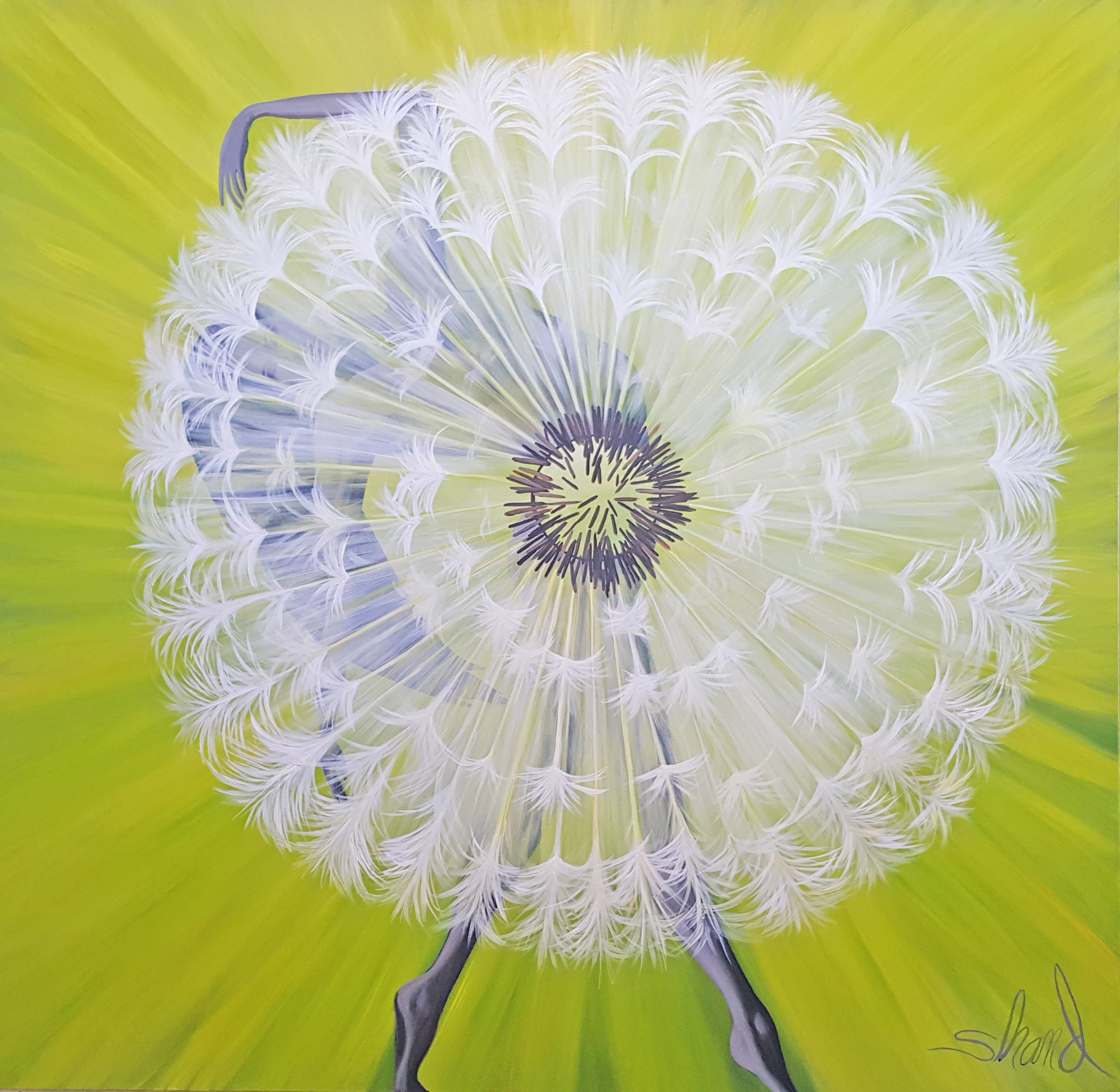 Dharma Wheel 48W x 48H _2017