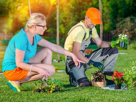 How to Identify Best Landscaping Company 