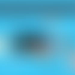 The best software testing solutions