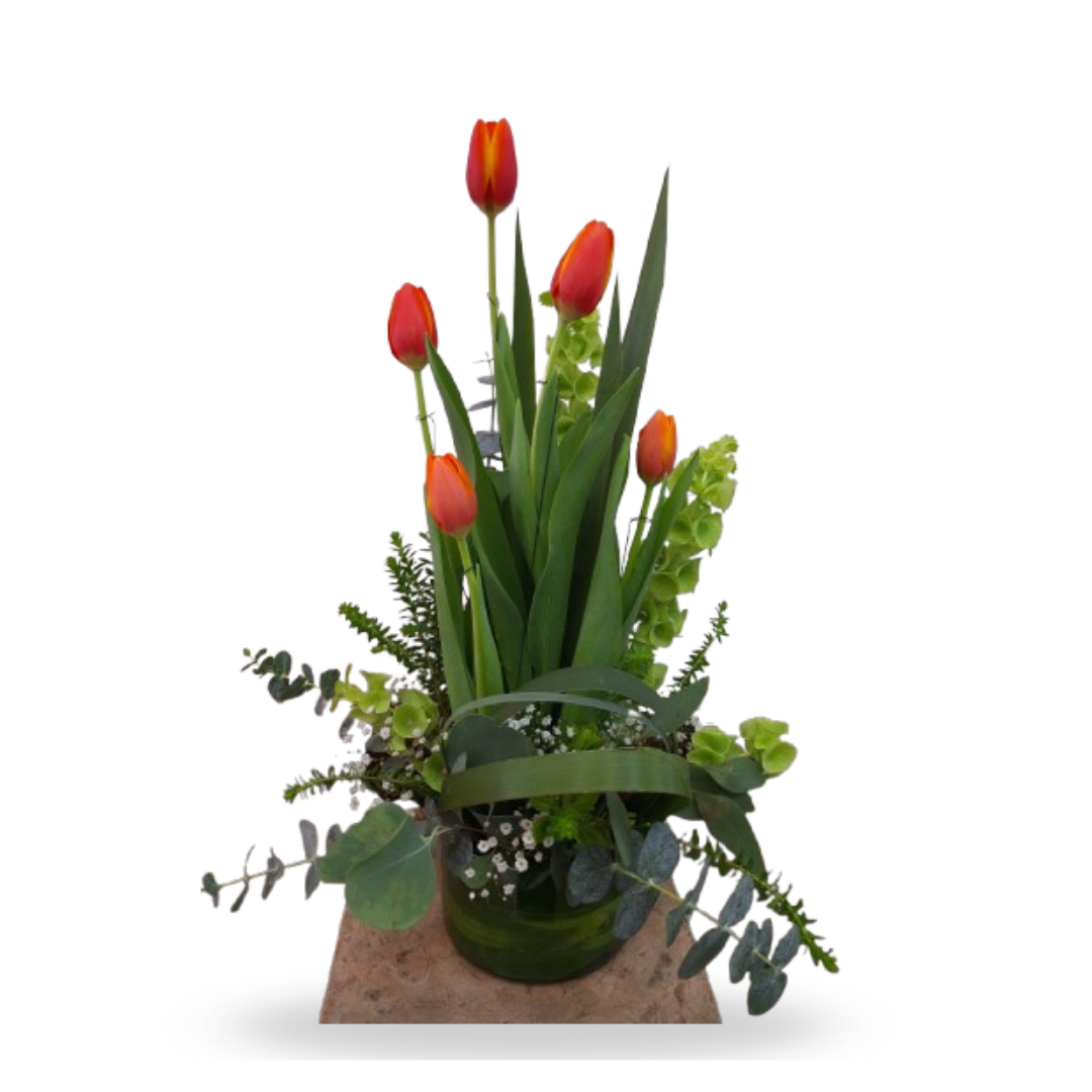 Detalle de tulipanes