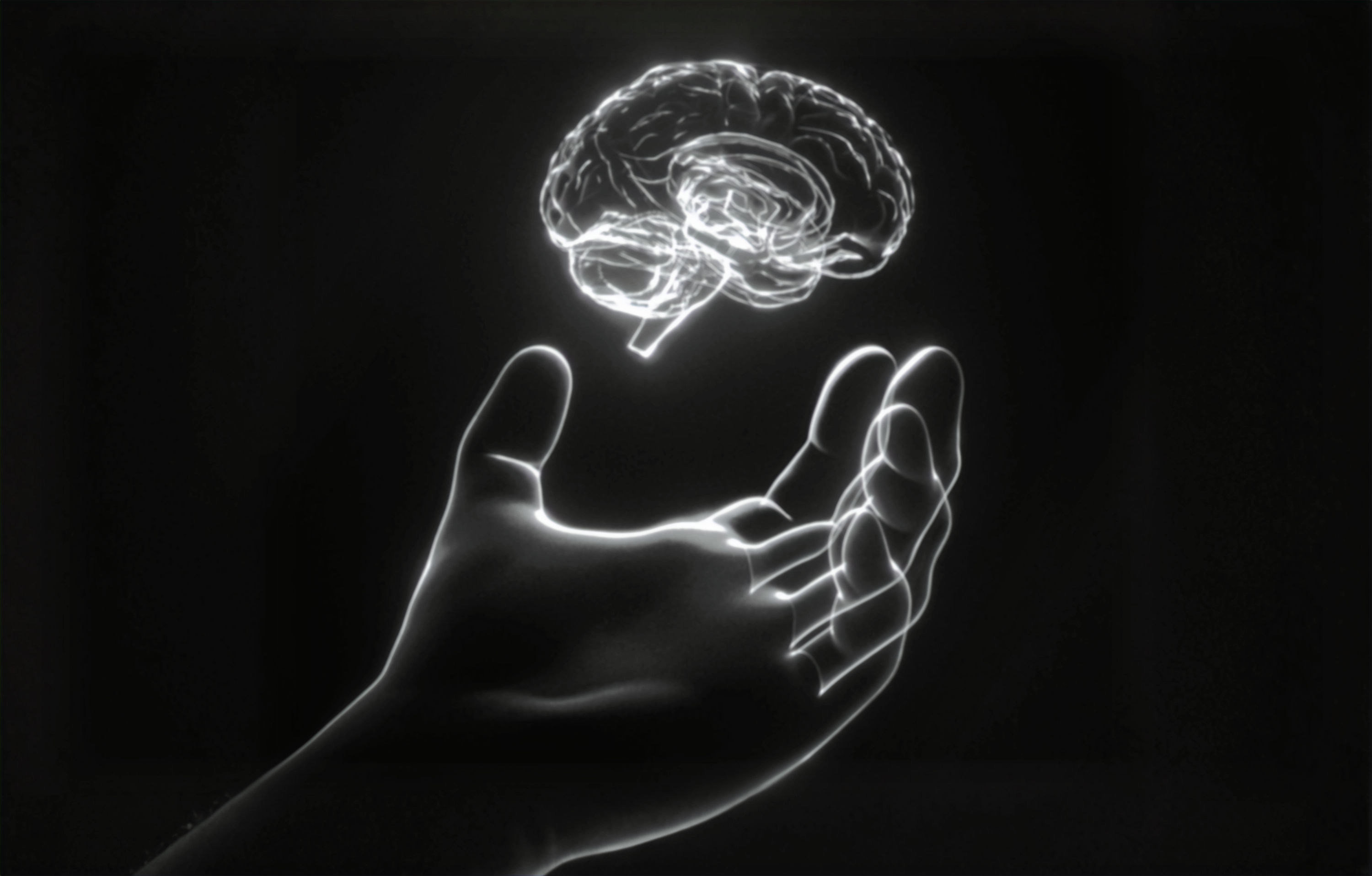 Competition & Travel Fee