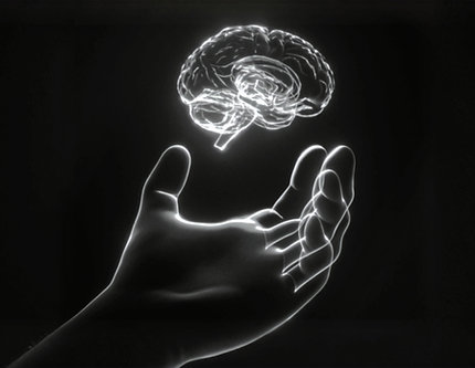 Competition & Travel Fee