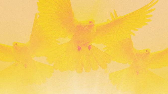 (SCREEN) Ads - Events - 196 .jpg