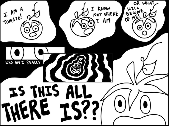 tomato named margot border.png