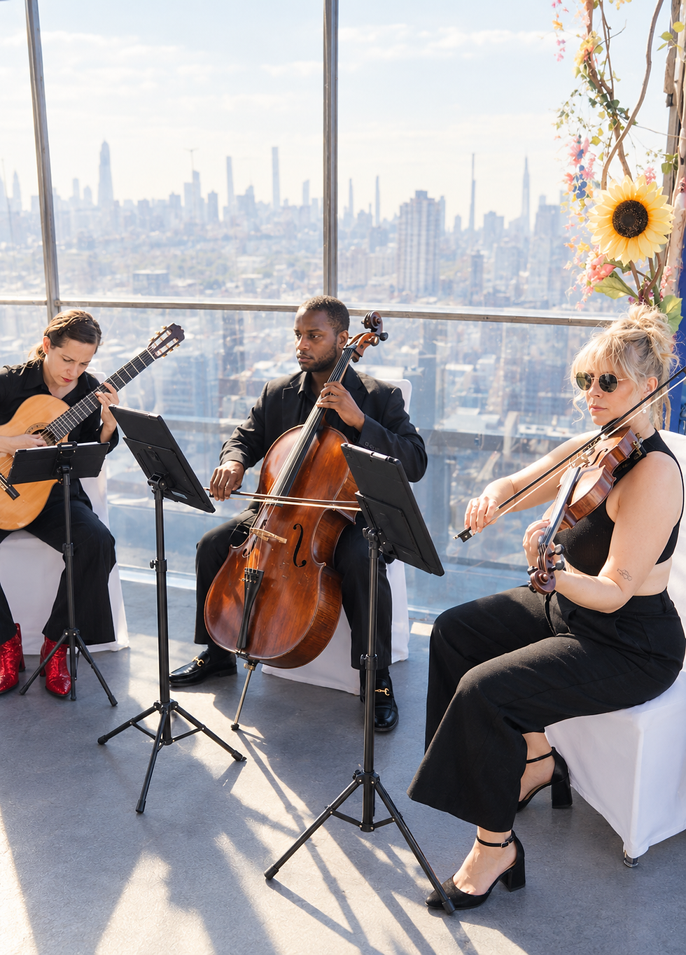 Rooftop String Ensemble in Sunlight.png