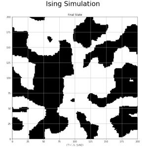 Ferromagnet Simulation