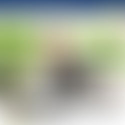 Andy Serkis interview