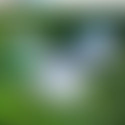 I these you CAN simply walk even into Mordor