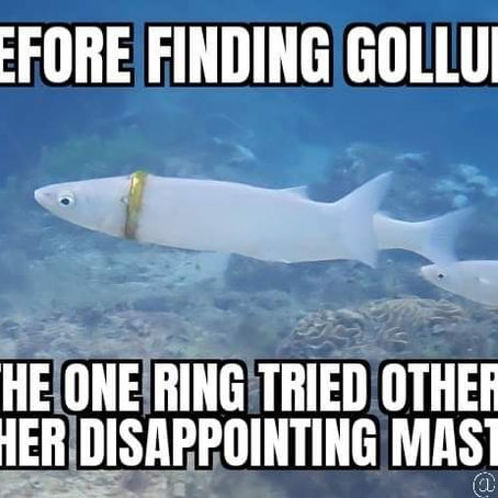 A most unlikely creature