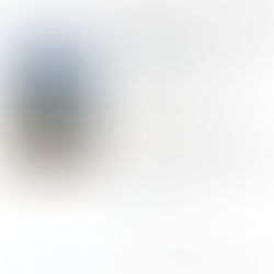 Book on friendship in LOTR