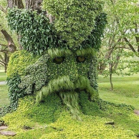 Of Ents and Entlings