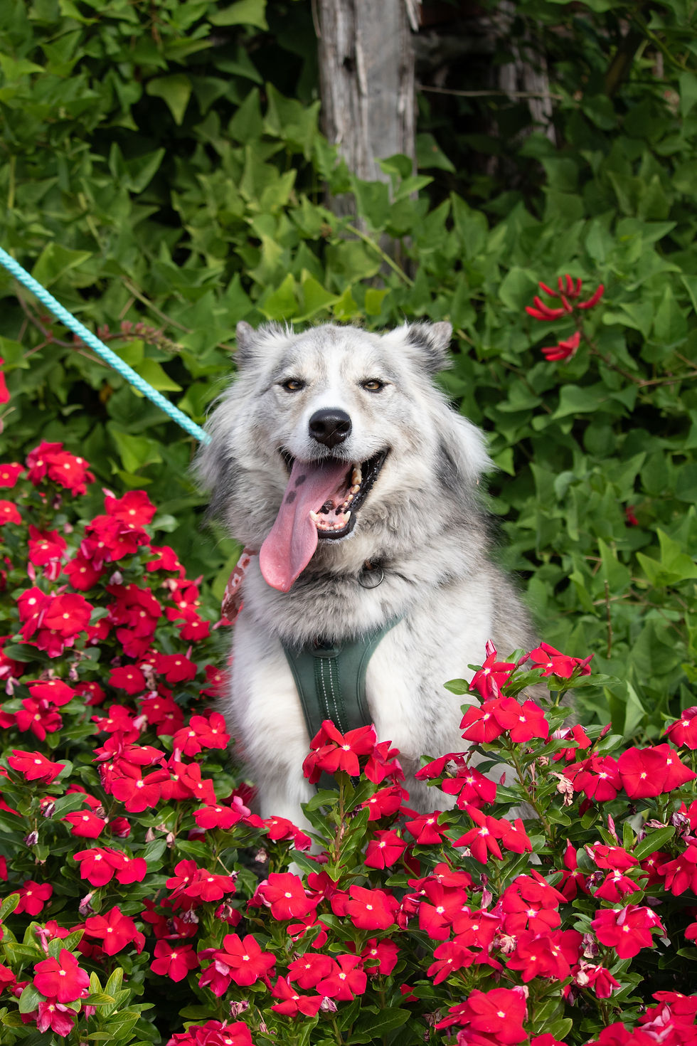 Photo Oct 16 2025, 12 17 05 PM.jpg