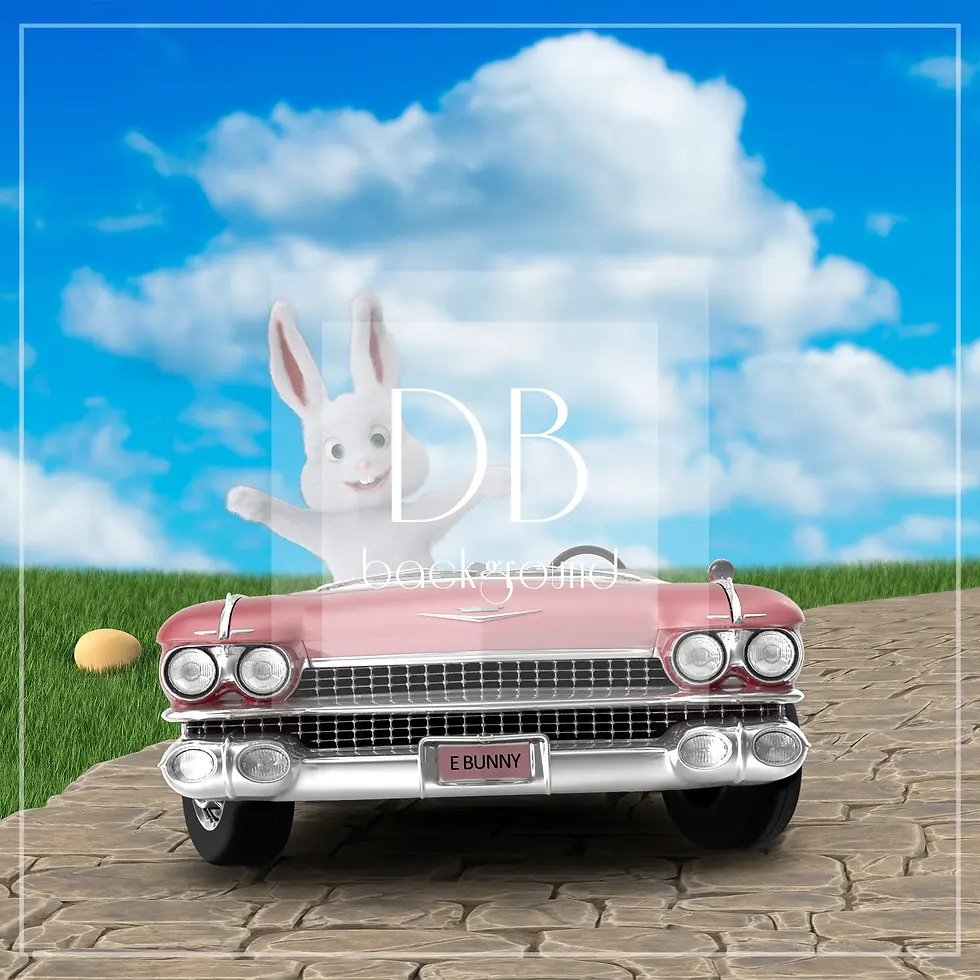 Speedy Bunny