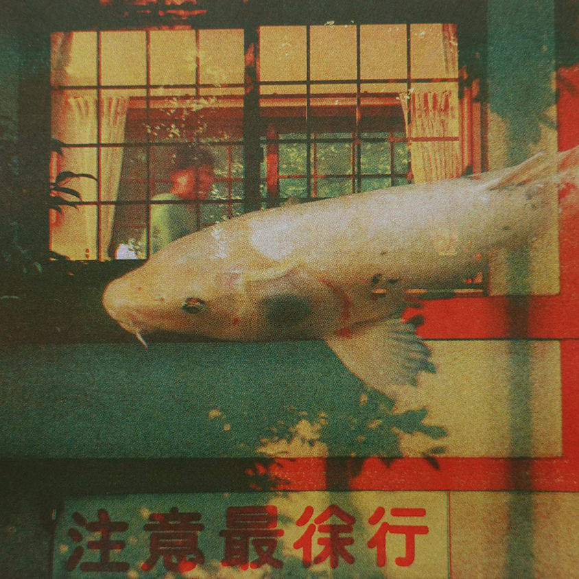 Sakana 魚, de la serie 東京