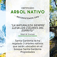 Certificado árbol reforestado