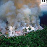 68949667_457193868199975_632324150461909