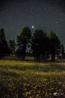 Jupiter Beckoning Me © 2021 Susie Rose 1200.JPG