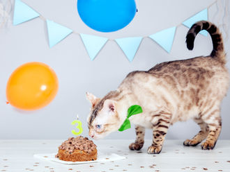 Happy 3rd Birthday, Oliver!