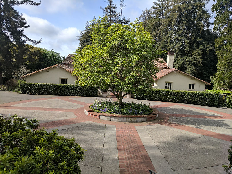 Piedmont Community Center