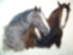 horses
