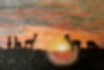 alpacas in sunset