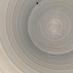 تنظيف خزانات ماء في الدوحه