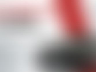 Car Hunter São Paulo: Conheça a Auto Advisor, referência em Car Hunter