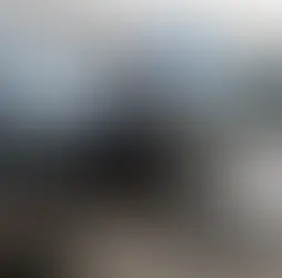 Vender carro no particular ou na loja: qual é a melhor opção?